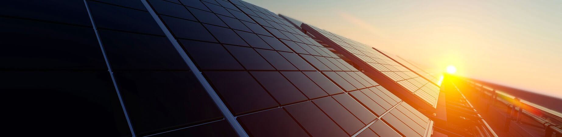 Solar panel array with sun coming up