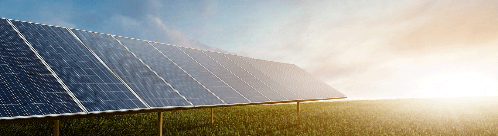 Agriculture solar installation